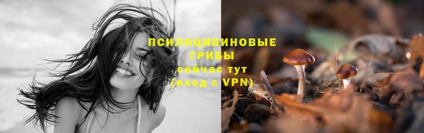 кокс Новозыбков