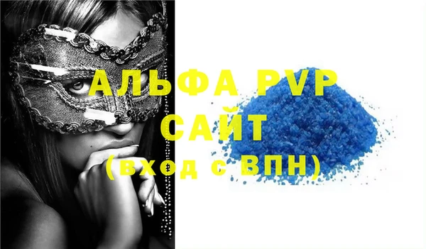 ECSTASY Новодвинск