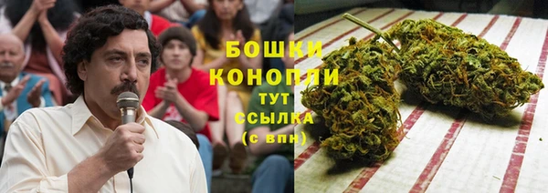 бошки Алзамай
