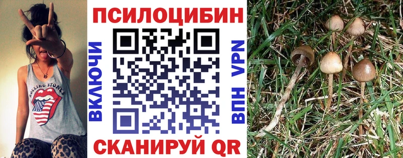 Псилоцибиновые грибы Psilocybine cubensis  Чебаркуль 